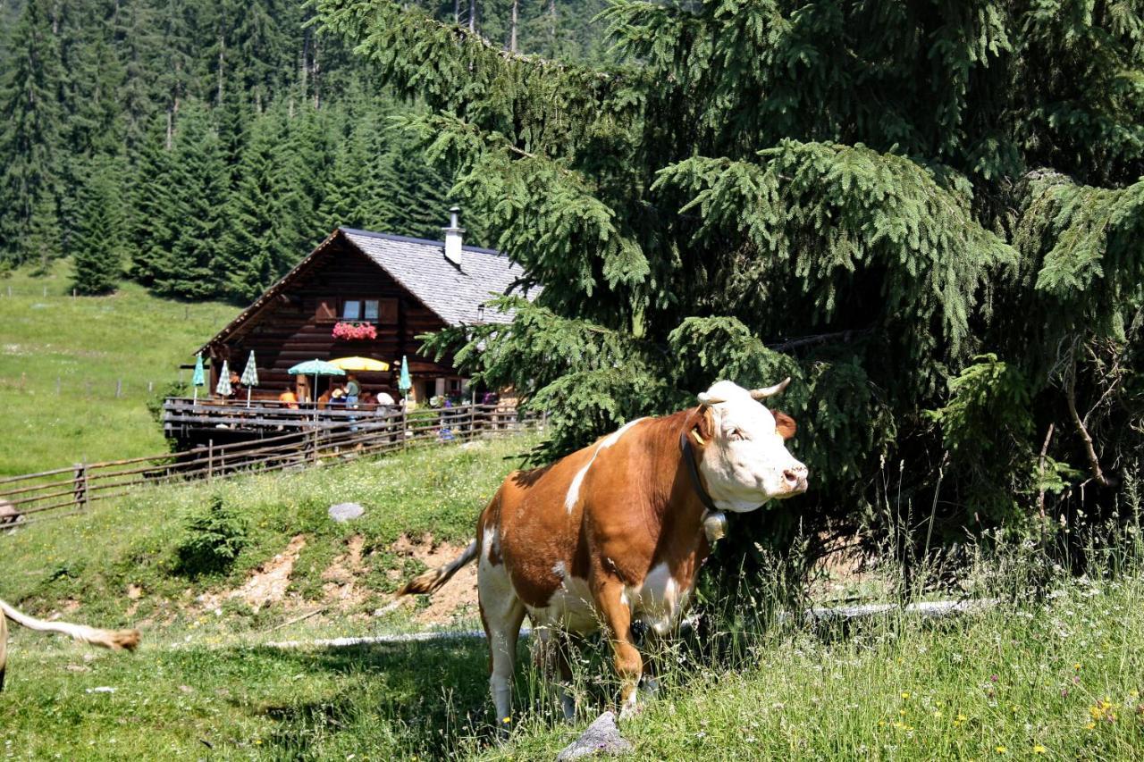 Chalet 164 巴德哥依斯恩 外观 照片